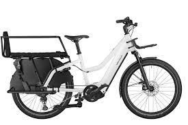 Riese & Müller Multicharger2 Mixte GT Family.